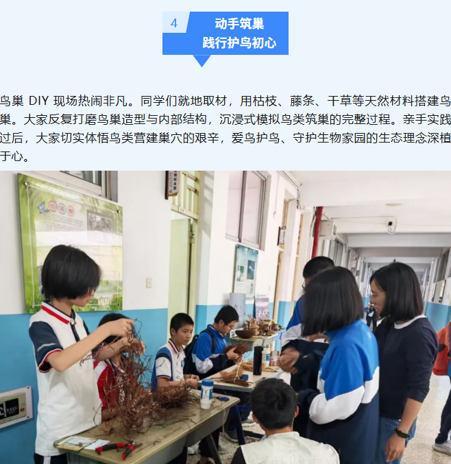 b50287a5-bc44-44e8-9e6b-0a1269d84ded.png