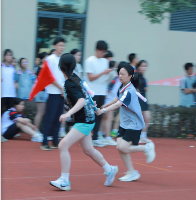 d2339d8f-ab48-4bff-8c5c-f99a185502c2.png